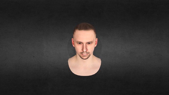 Full head + RIGGED. 3D Model
