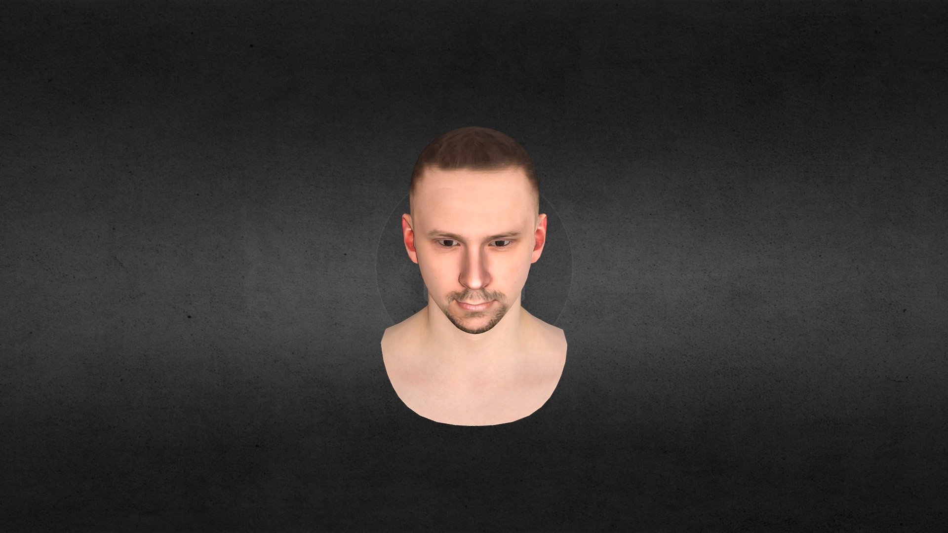Full head + RIGGED. - 3D model by Leandcoel (@Leandcoel3d) [c251778 ...