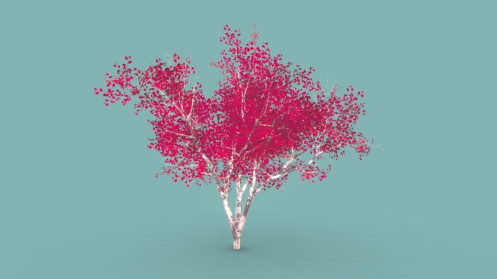 Red-leaved tree 3D Model