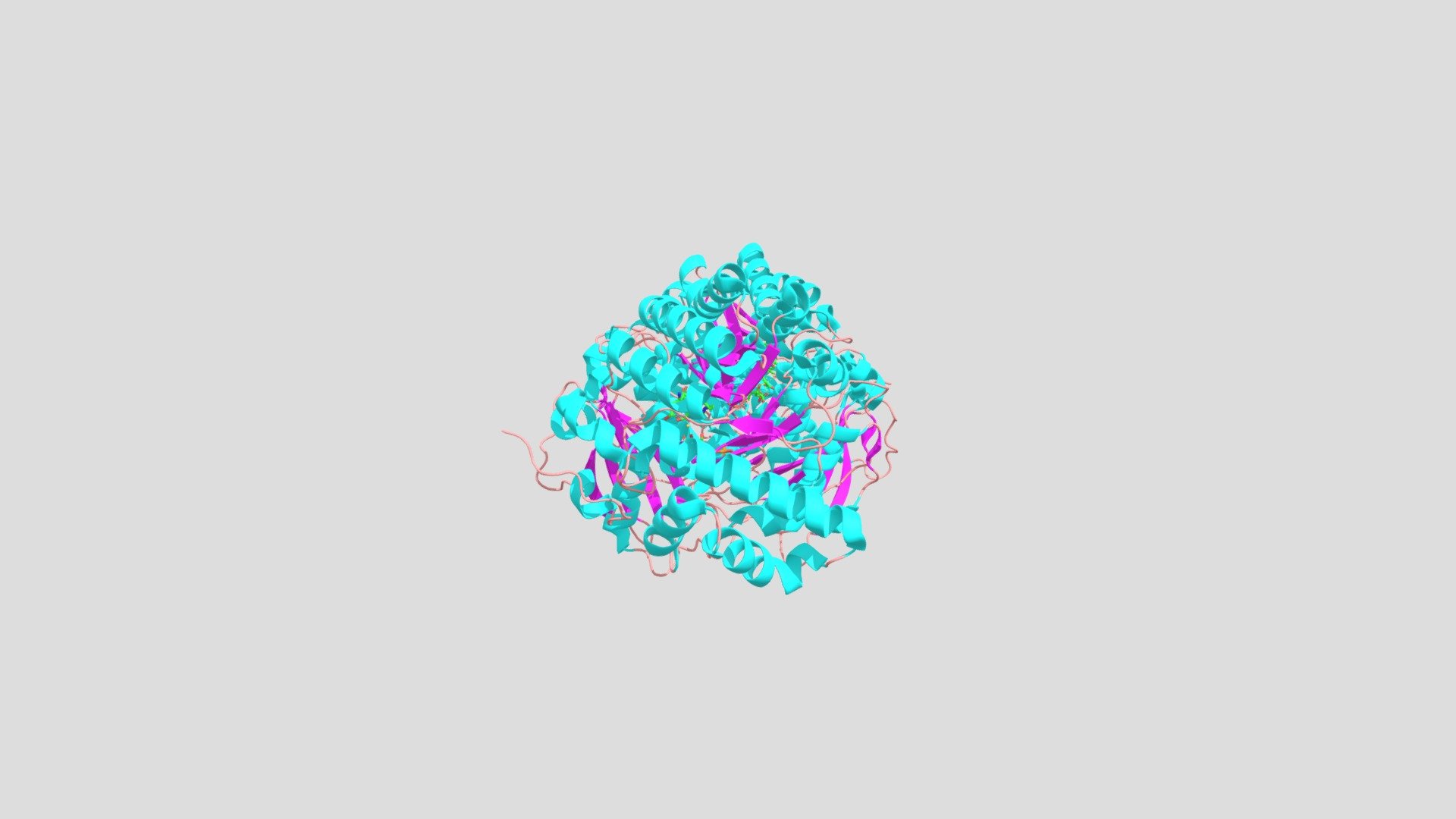 RuBisCO with transition state analogue CABP - 3D model by murdochenr7 ...