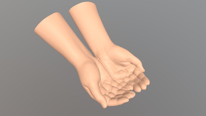 human hands carry 3D Model