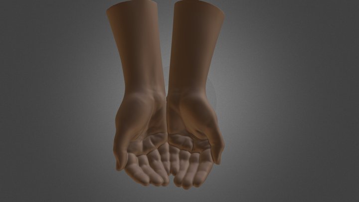human hands carry 3D Model