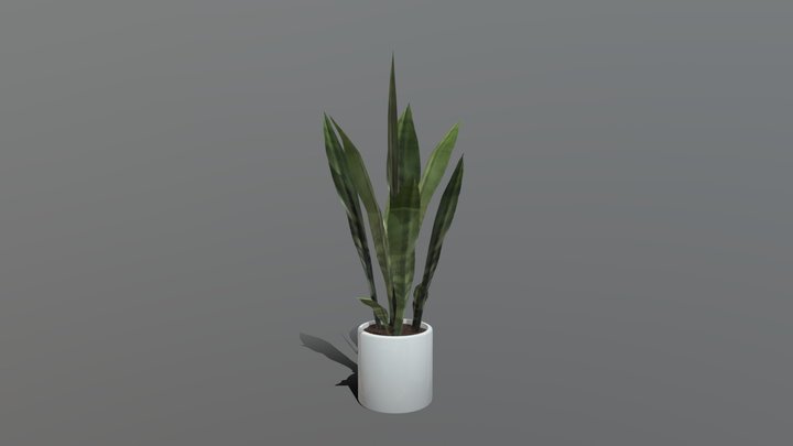 plant00 3D Model