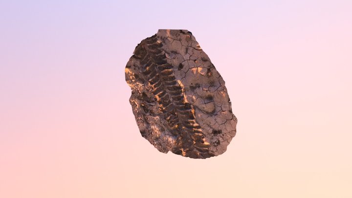 Tire 3D Model