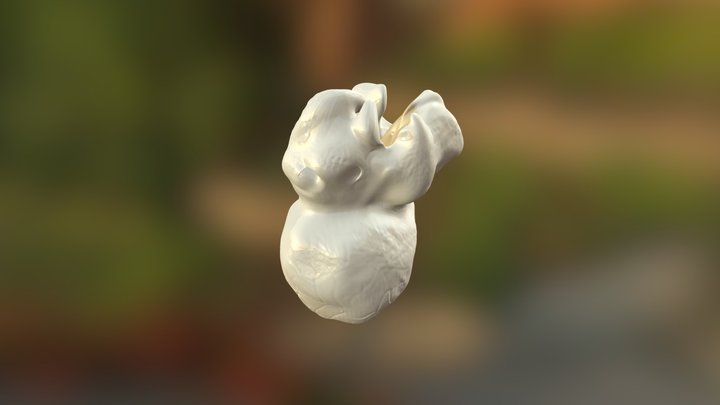 Popcorn 3D Model
