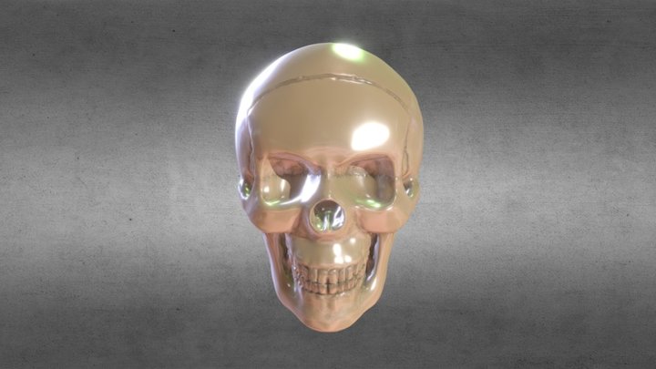 Skull-Turntable 3D Model