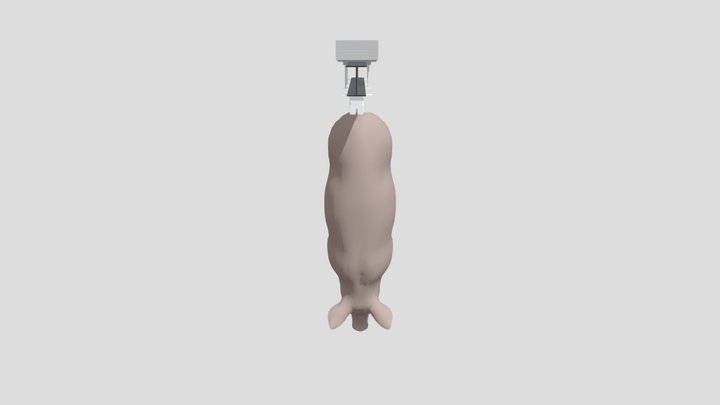 VA2 3D Model