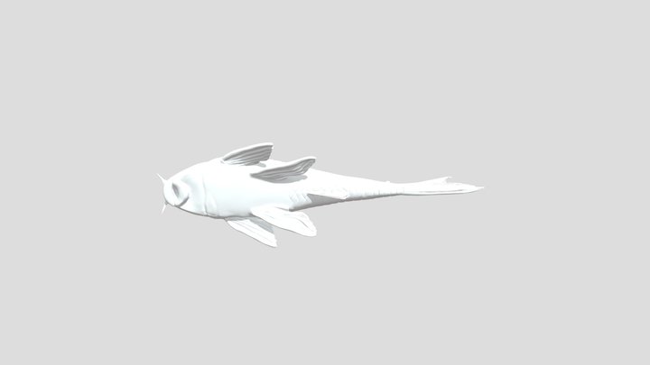 spiny pleco thing 3D Model