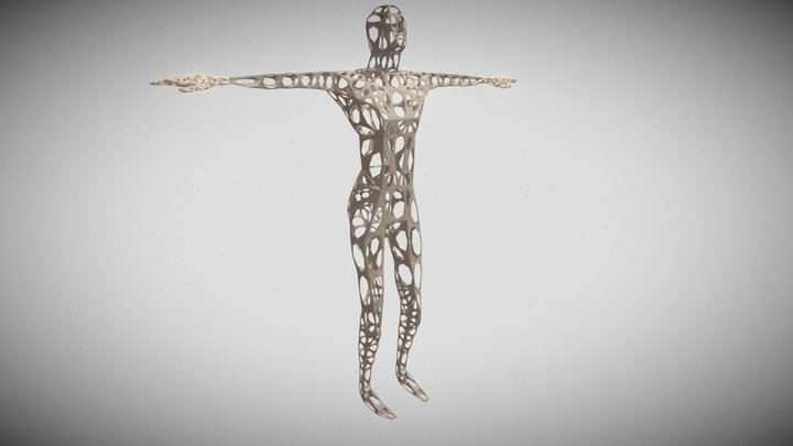 Holed Manequin T-pose 3D Model