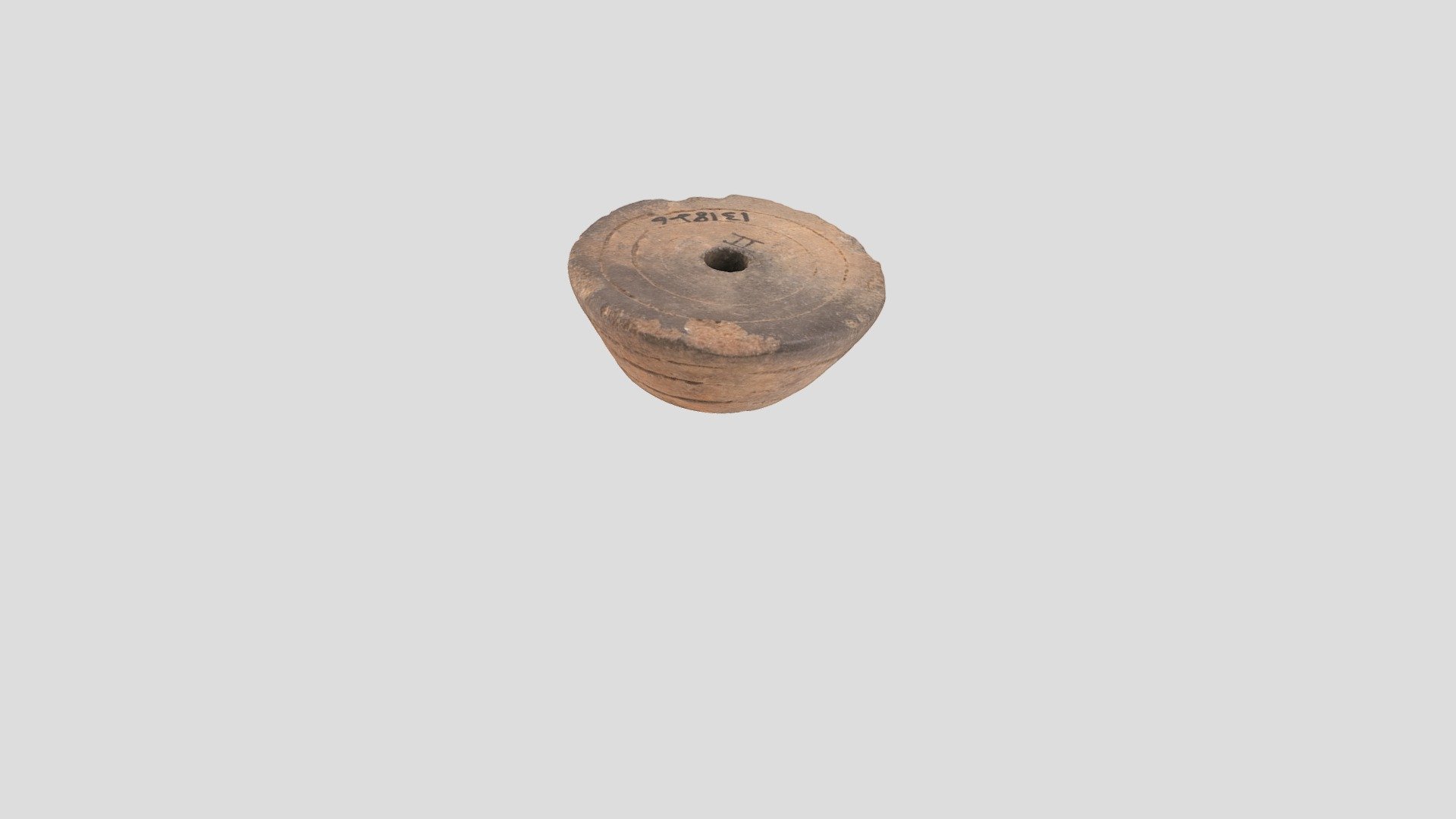 YPM ANT.131826