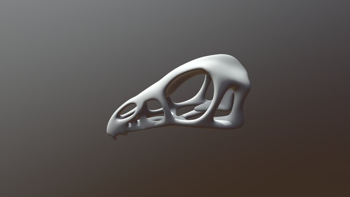 Caudipteryx Skull 3D Model