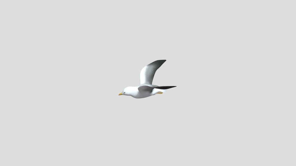 Simple Seagull