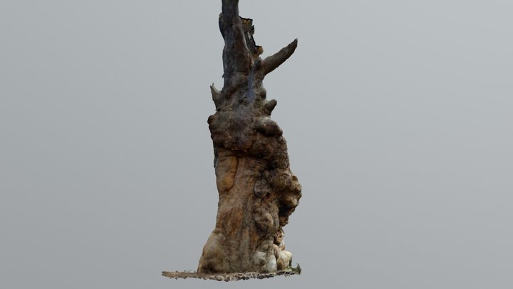 Gnarley Tree 3D Model