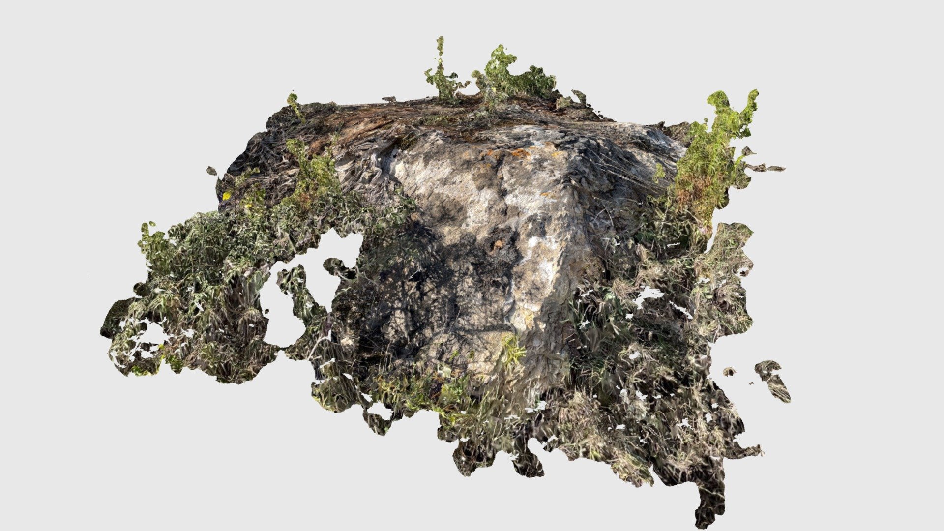 Affleurement au Sud du Près Mallégat