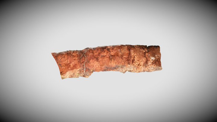 Virtual Saprolite 3D Model