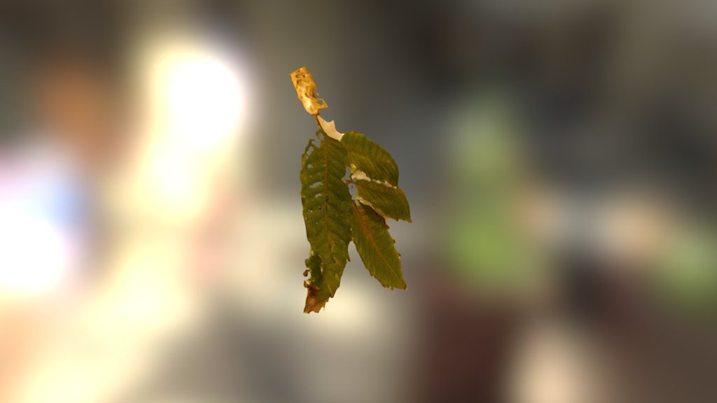 Leaf testing (High Detail setting)