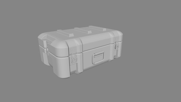 Case01 3D Model