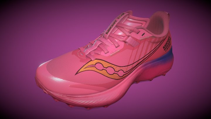 Endorphine Shoe 3D Model