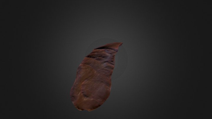 ridged blade 3D Model