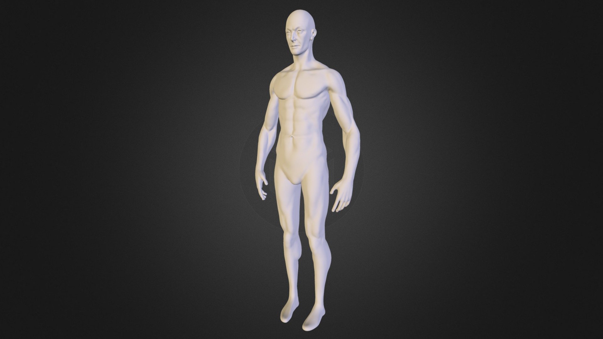 Human body visualizer. 3d body visualizer. body visualizer в сантиметрах. male body visualizer женщина. body visualizer женский.
