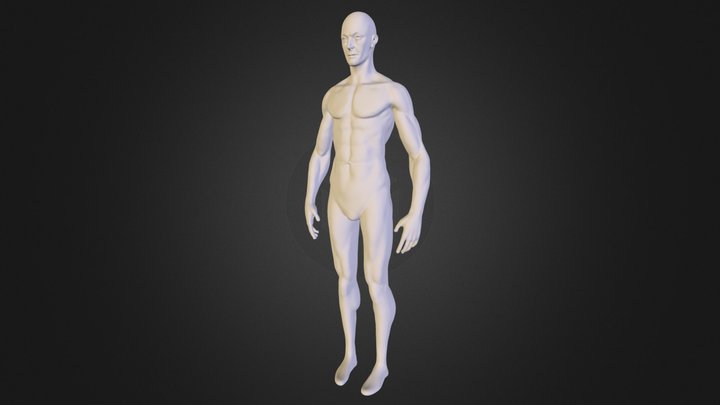 Male Body 3D Model