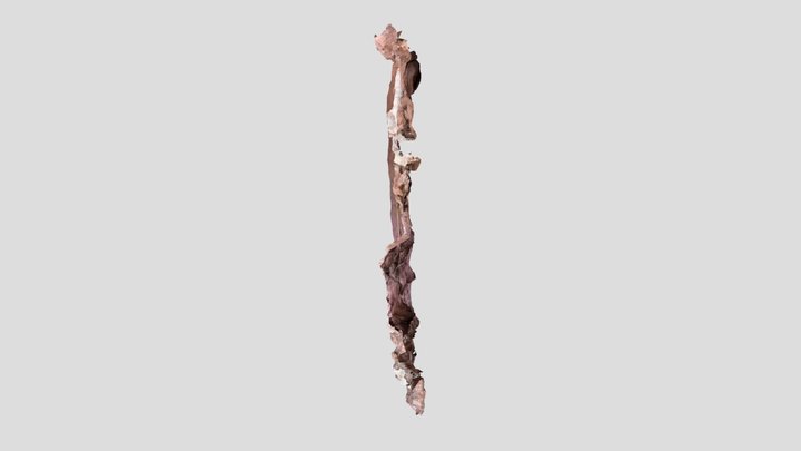 ensemble de la fouille 08/2022 3D Model