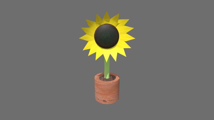 Sunflower 3D Model