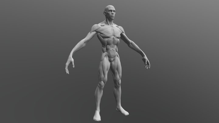 人体概括 by pangu 3D Model