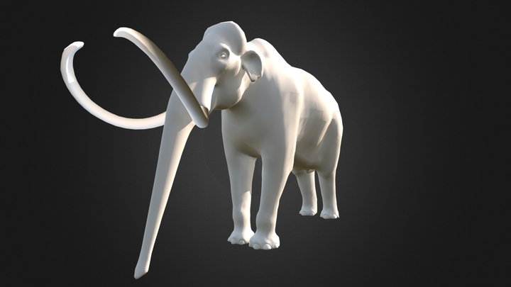 Woolly mammoth (Mammuthus primigenius) 3D Model