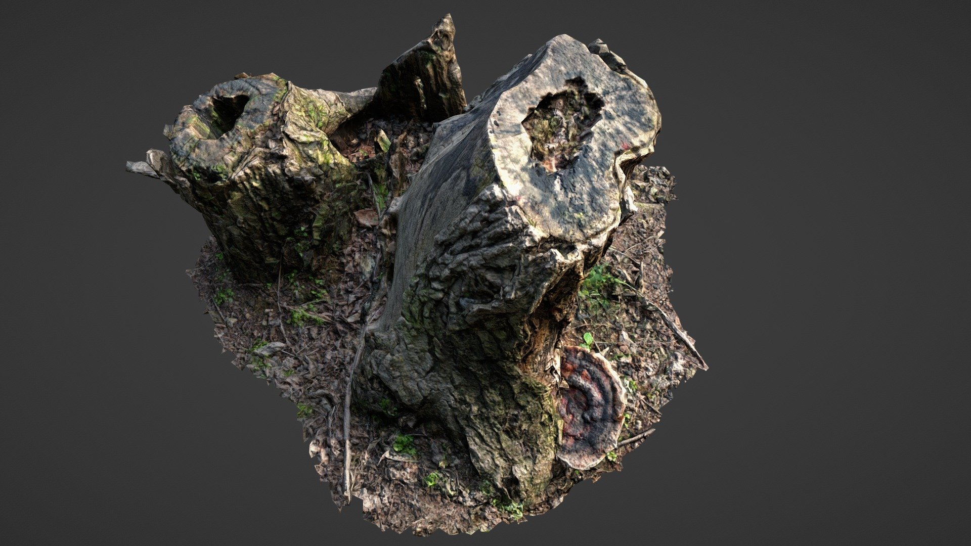 dead tree stump - Download Free 3D model by SibeYu [c289a30] - Sketchfab