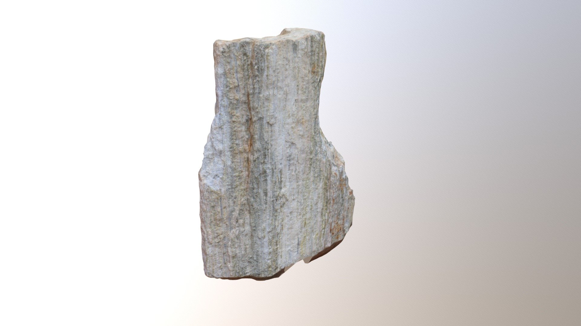 L-S mylonite