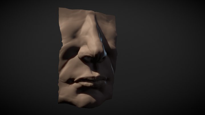 SculptJanuary18 : Nose & Mouth 3D Model