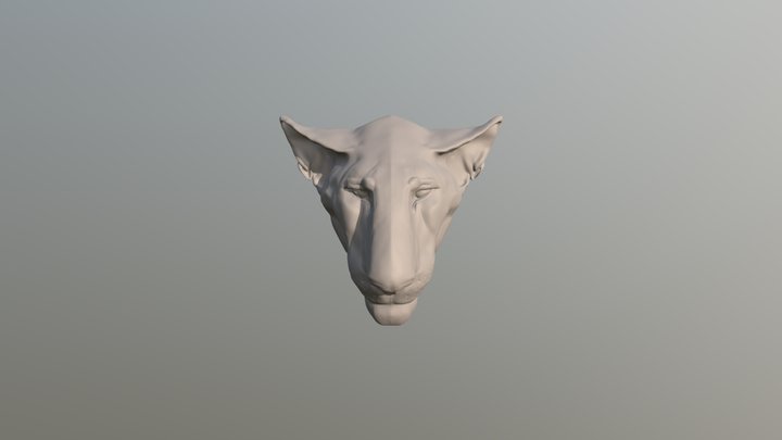 Torstein's head 3D Model