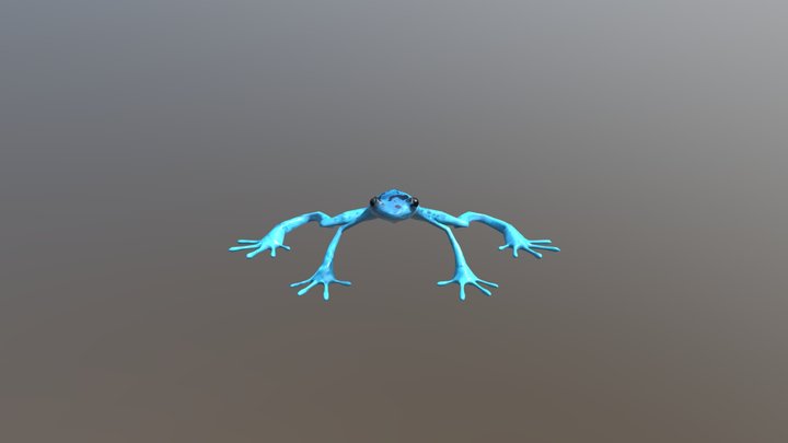 331 Organic Modeling - Frog 3D Model