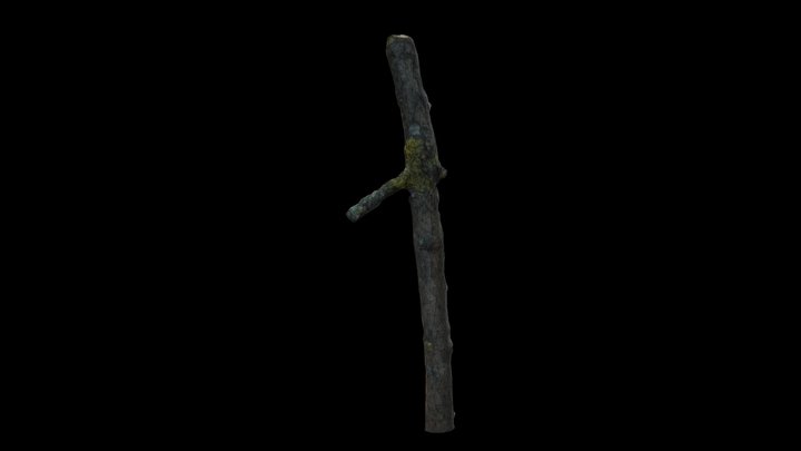 Stick_22 3D Model