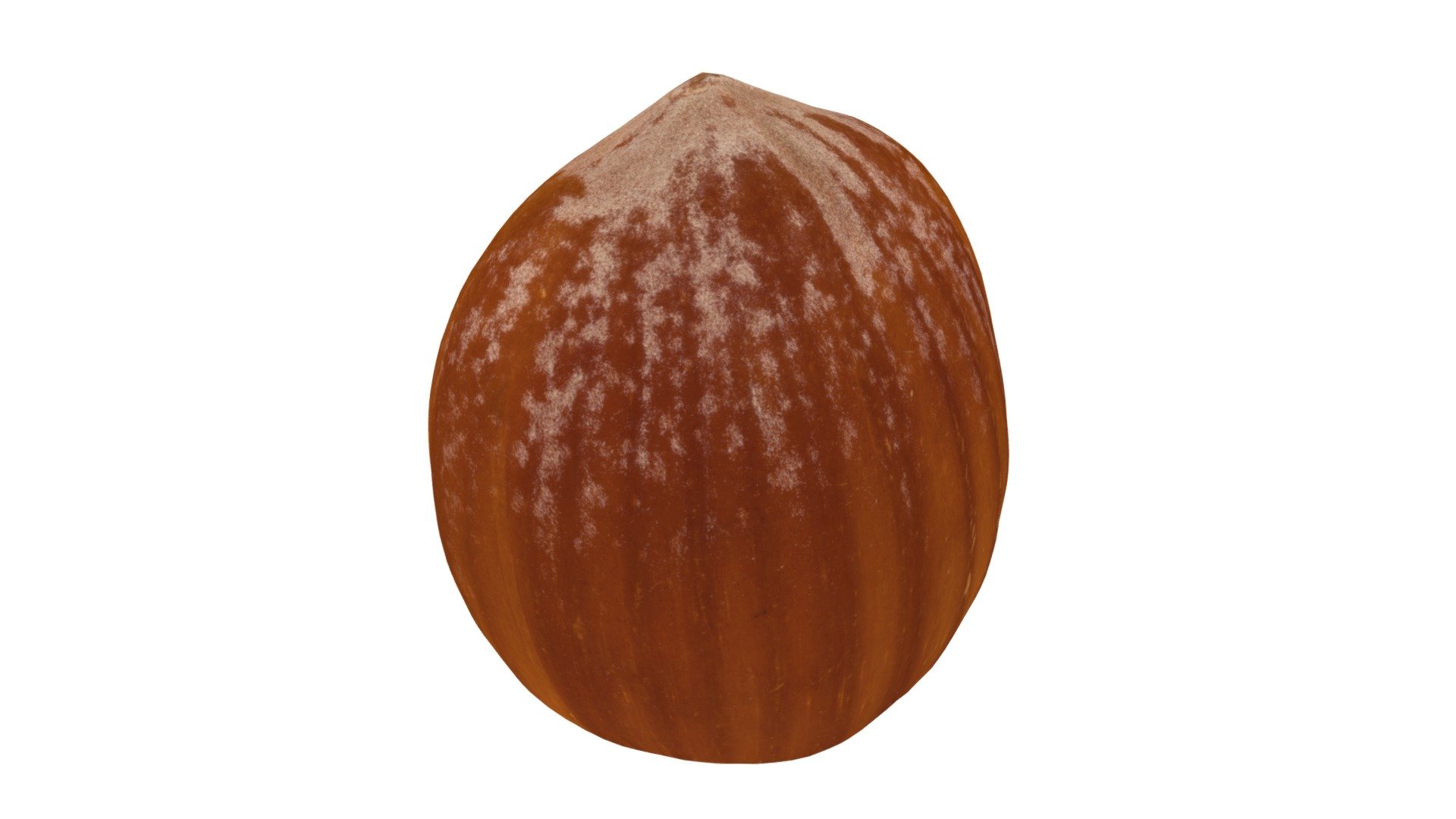 Hazelnut #2