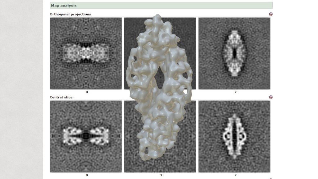 EMDB › EMD-4119 - 3D model by Interactive 3D Data (@proteinsimulation ...