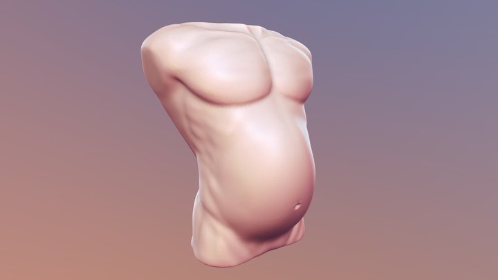 Sphere Stomach 3D Model