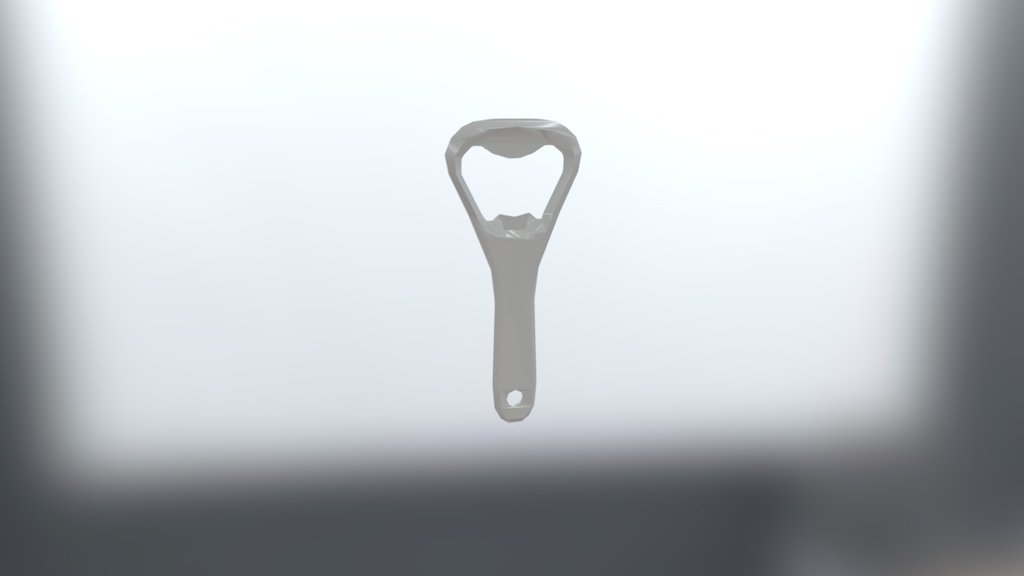 Beer bottle opener