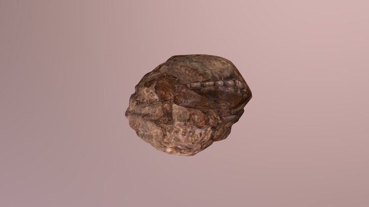 Irhoud Fossil Rock 3D Model