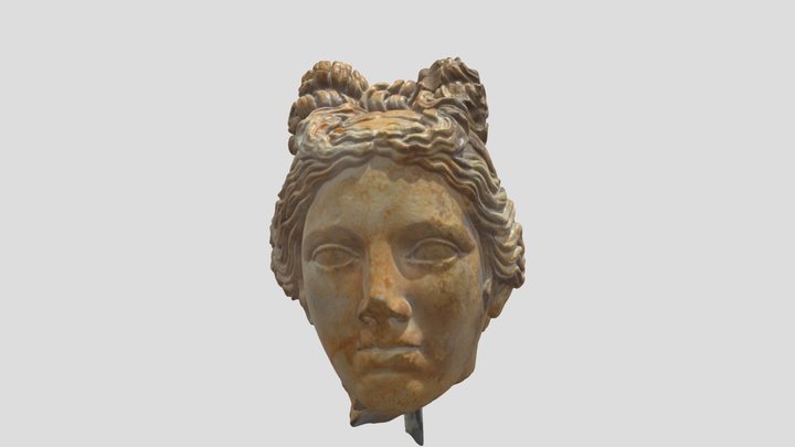 Apollo, testa di statua 3D Model