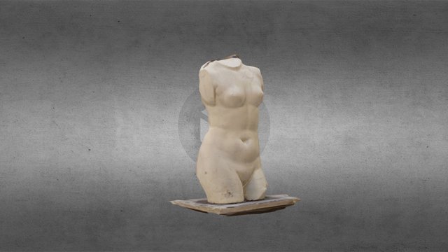 Venus 3D Model