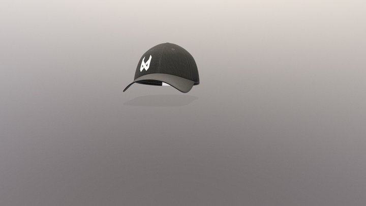 DV1_black_hat 3D Model