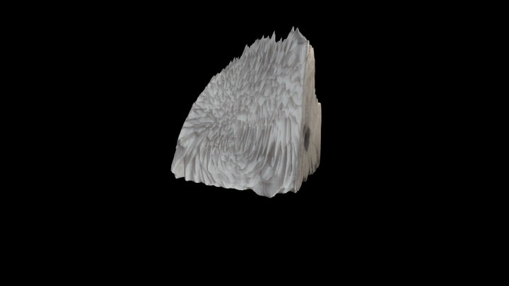 Entropy v1 3D Model