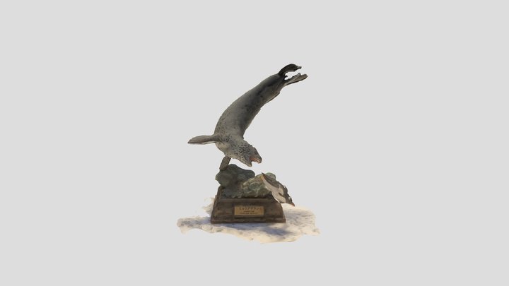 Animals 3D Model