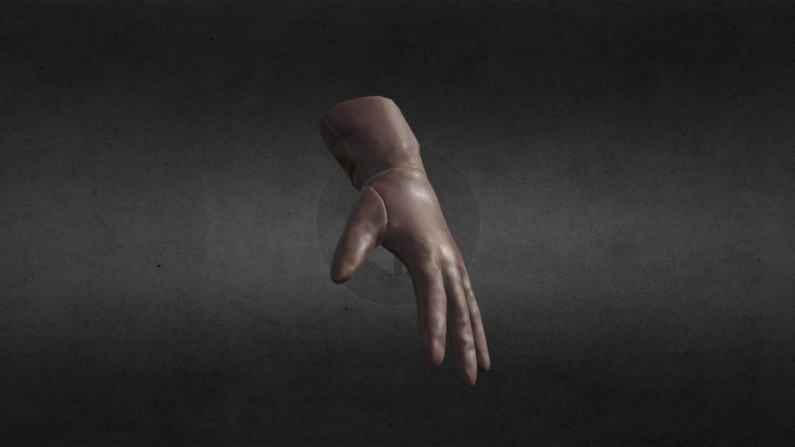 Gloves Low 3D Model