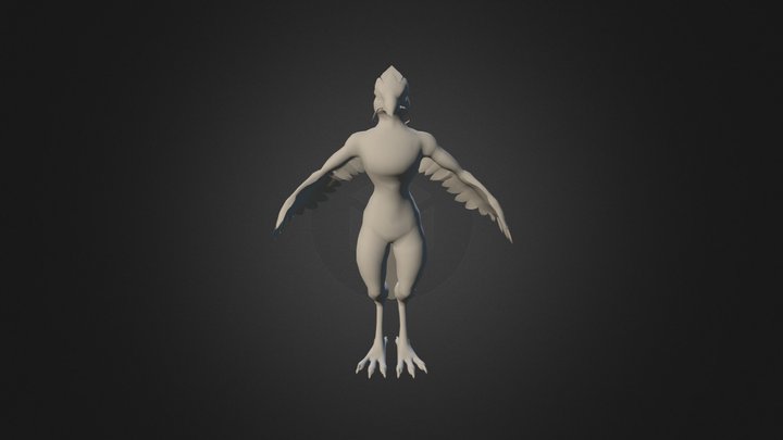 Avian Character 3D Model