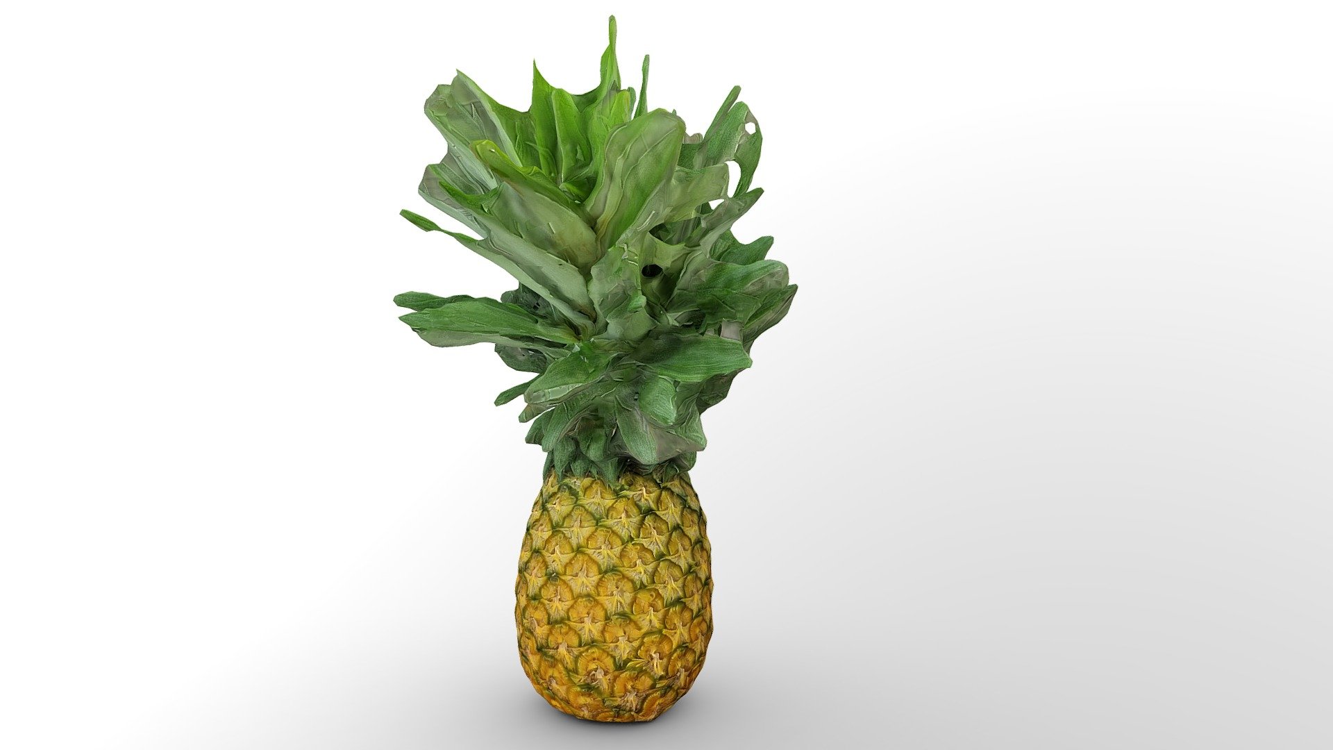 organic-pineapple-md2-variant-download-free-3d-model-by-jfn-db4