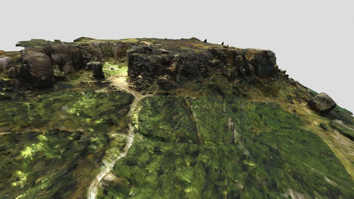 Ilkley Moor's 19th Century Graffiti Landscape 3D Model