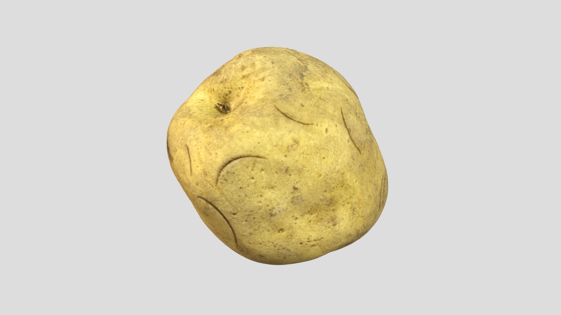 Potato (3D Scan)